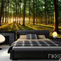 Breng de natuur in huis met fotobehang bossen