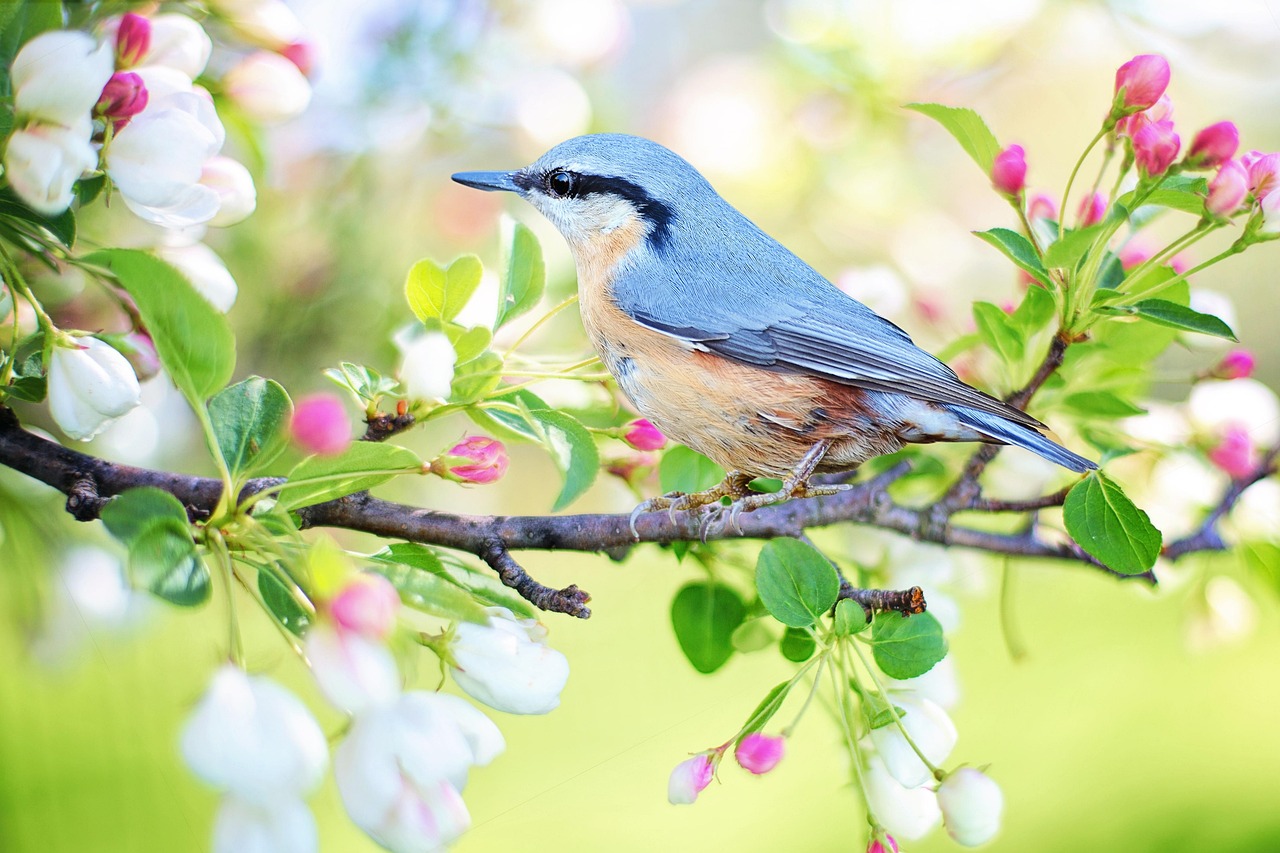Houten vogelvoerhuisje hangt aan boom tak.